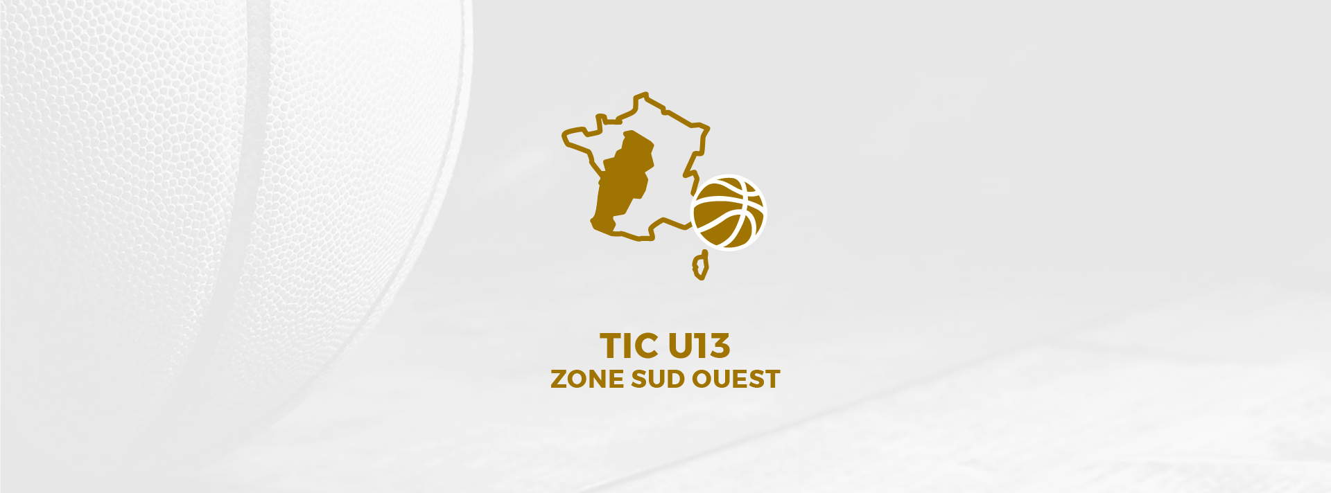 TIC de zone couverture-100